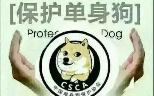 img.php_-16 img.php_-16
