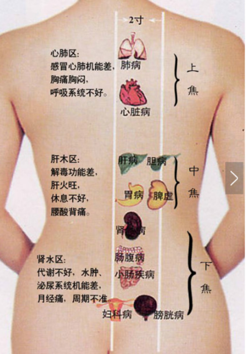 img.php_-9 img.php_-9