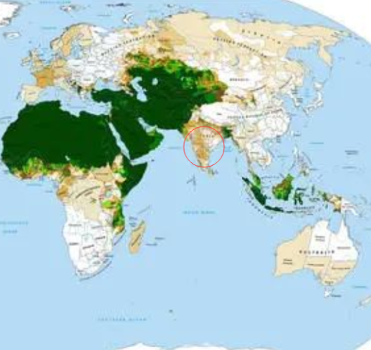 img.php_-263 img.php_-263
