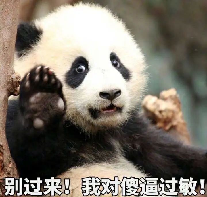 img.php_-42 img.php_-42